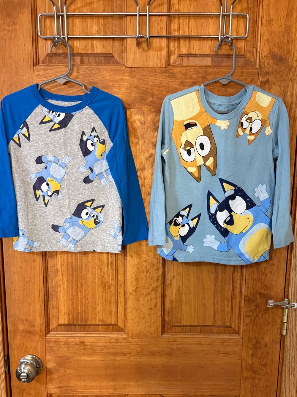 Bluey long sleeved tees